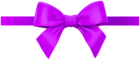 Bow with Ribbon Purple PNG Deco Clipart