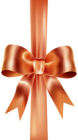 Elegant Bow with Ribbon Orange PNG Clip Art