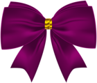 Purple and Gold Bow PNG Clipart