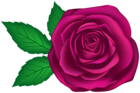 Art Rose Transparent Clipart Image