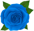 Beautiful Blue Rose Flower PNG Transparent Clipart