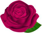 Beautiful Rose with Leaf PNG Clipart