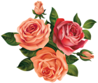 Beautiful Roses Clipart Image