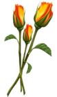 Beautiful Transparent Roses PNG Clipart Picture