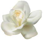 Beautiful White Rose PNG Clipart Image