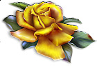 Beautiful Yellow Rose Clipart