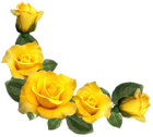 Beautiful Yellow Roses Decor PNG Clipart Image