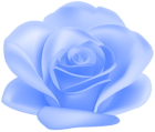 Blue Flower Rose Transparent Image
