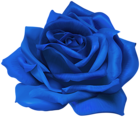 Blue Flower Rose Transparent Image