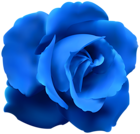 Blue Rose Clip Art PNG Image