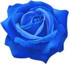 Blue Rose Flower Clip Art Image