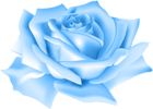 Blue Rose Flower PNG Clip Art Image