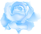 Blue Rose Flower PNG Clipart
