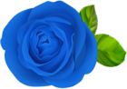 Blue Rose Flower PNG Clipart