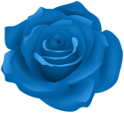 Blue Rose Flower PNG Transparent Clipart