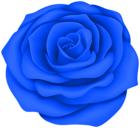 Blue Rose Flower Transparent Clip Art Image