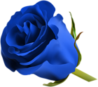 Blue Rose PNG Clip Art Image
