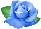 Blue Rose PNG Clip Art Transparent Image