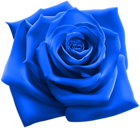 Blue Rose PNG Clipart Image
