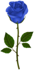 Blue Rose PNG Transparent Clipart