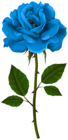 Blue Rose Stem PNG Transparent Clipart