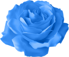 Blue Rose Transparent PNG Clip Art Image