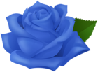 Blue Rose Transparent PNG Clipart
