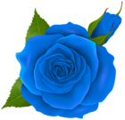 Blue Rose and Bud Transparent PNG Clip Art