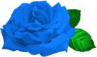 Blue Rose with Leaves PNG Clipart