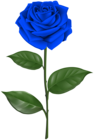 Blue Rose with Stem Transparent Clipart