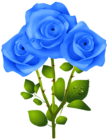 Blue Roses PNG Transparent Clipart