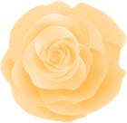 Cream Rose PNG Decorative Clipart