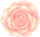 Cream Rose PNG Flower Clipart