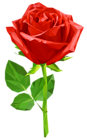 Crystal Red Rose Transparent PNG Clip Art Image