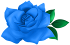 Cute Blue Rose PNG Transparent Clipart