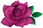 Cute Pink Rose PNG Transparent Clipart