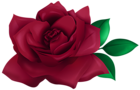 Cute Red Rose PNG Transparent Clipart
