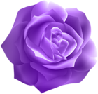 Dark Purple Rose Deco Clip Art