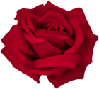 Dark Red Dreamy Rose PNG Clipart