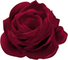 Dark Red Rose Flower PNG Clip Art Image