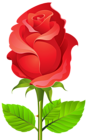 Deco Rose PNG Clip Art PNG Image