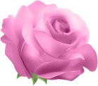 Deco Rose Pink PNG Clip Art