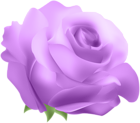 Deco Rose Purple PNG Clip Art