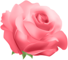 Deco Rose Red PNG Clip Art