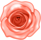 Decorative Peach Rose PNG Clipart