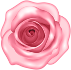 Decorative Pink Rose PNG Clipart