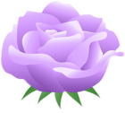 Decorative Purple Rose PNG Transparent Clipart
