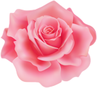 Delicate Red Rose PNG Clipart