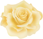 Delicate Yellow Rose PNG Clipart