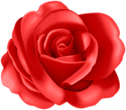 Flower Rose Red Transparent Image